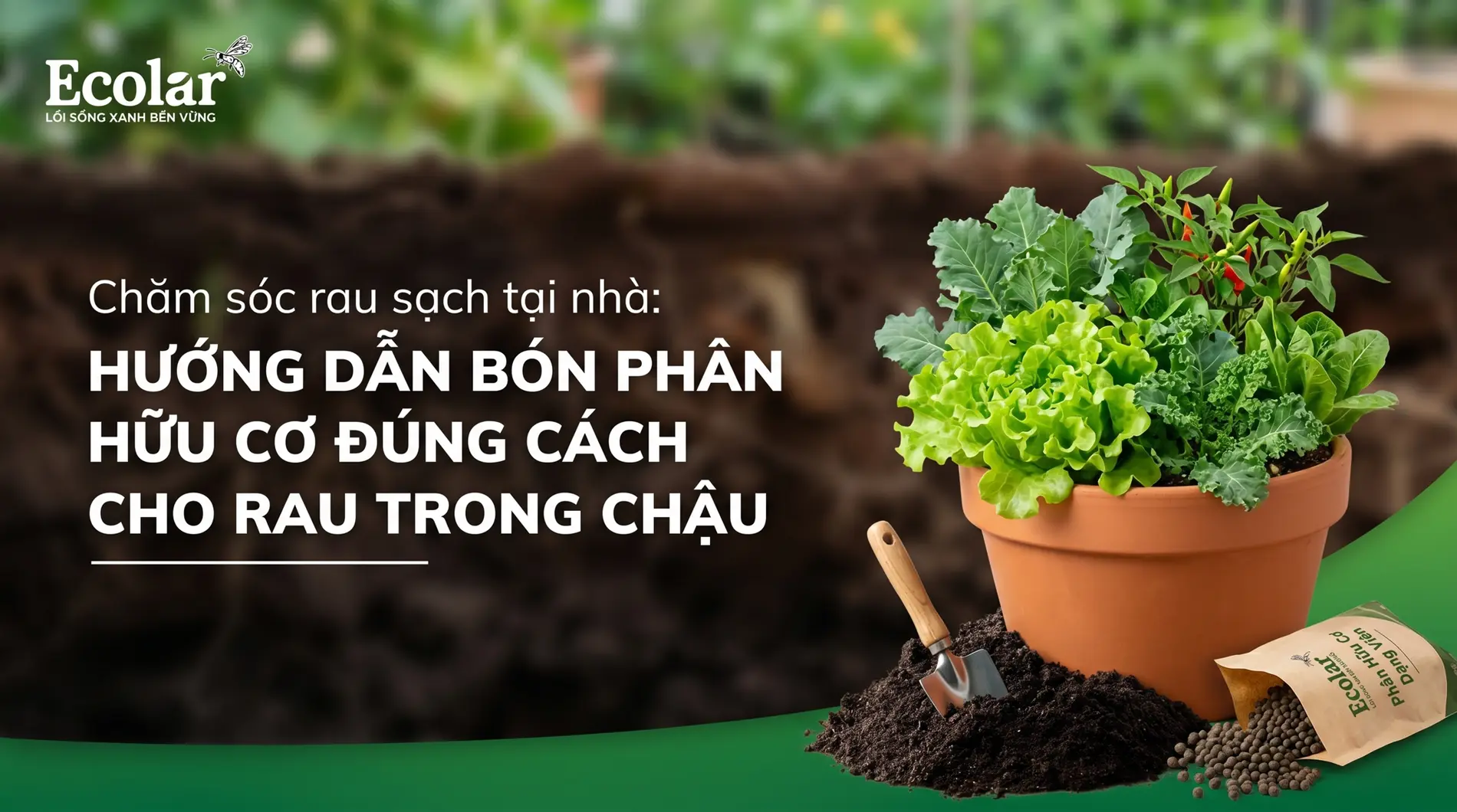 lieu-luong-bon-phan-huu-co-cho-rau-trong-chau-de-ap-dung-tai-nha_4c703fbb4d1642bea84e1f94792f...webp