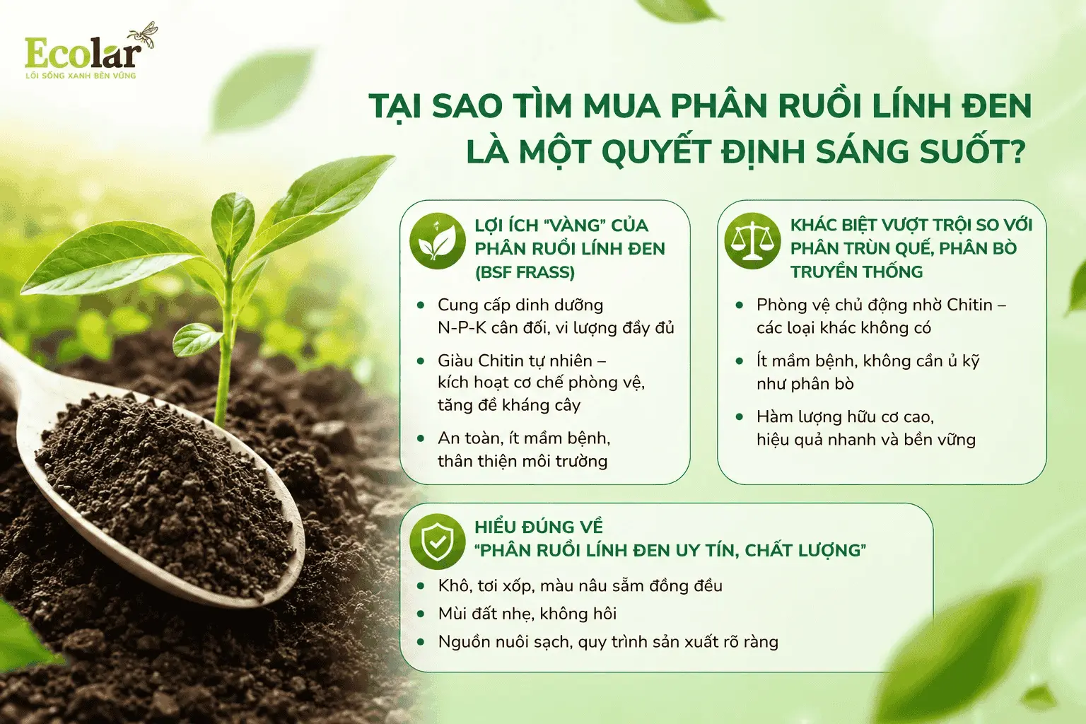 -linh-den-la-mot-quyet-dinh-sang-suot_a670076097d341cd95fabdf529c066af (1).webp