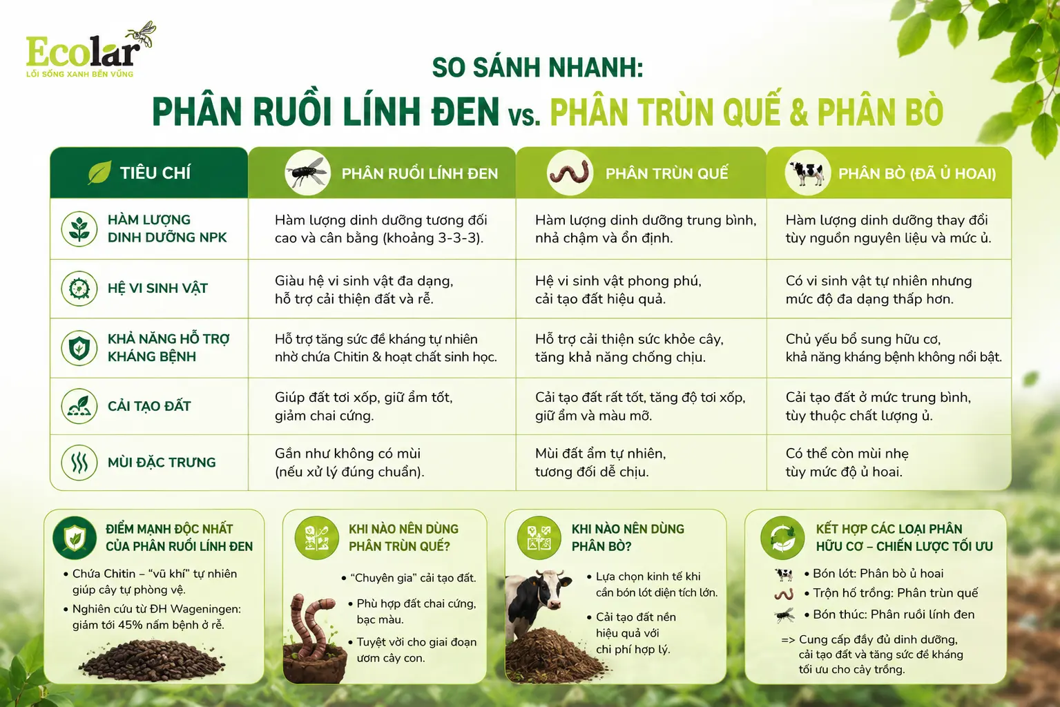 -linh-den-vs-phan-trun-que-va-phan-bo_ddb654e801d148f3b00c23ddfba03c90.webp