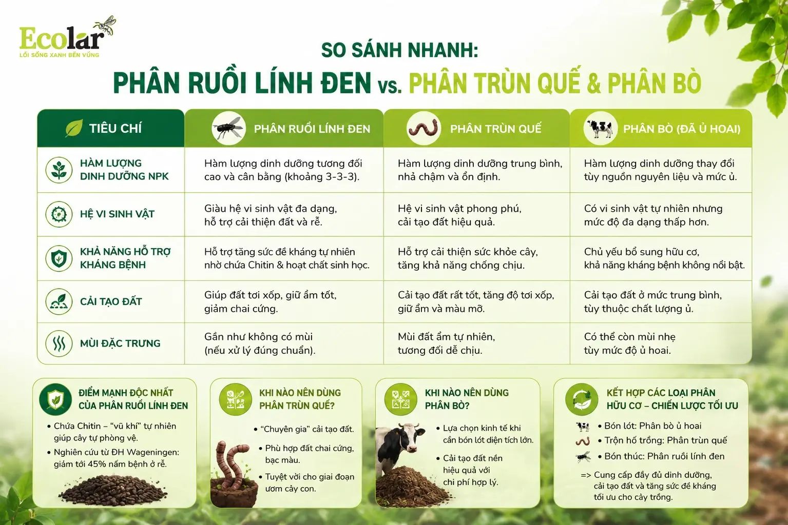 -linh-den-vs-phan-trun-que-va-phan-bo_ddb654e801d148f3b00c23ddfba03c90.webp