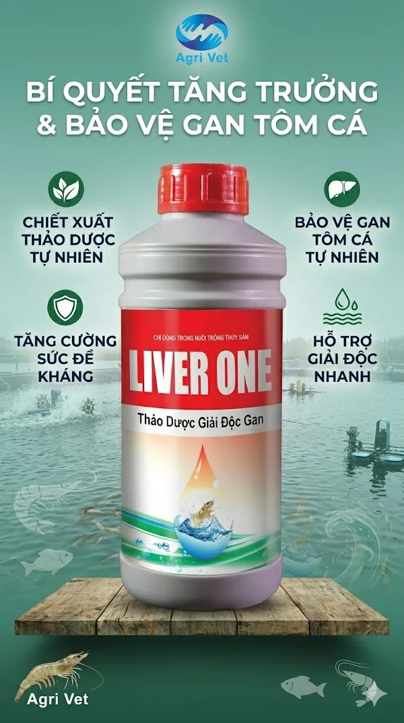 liver one 2.webp