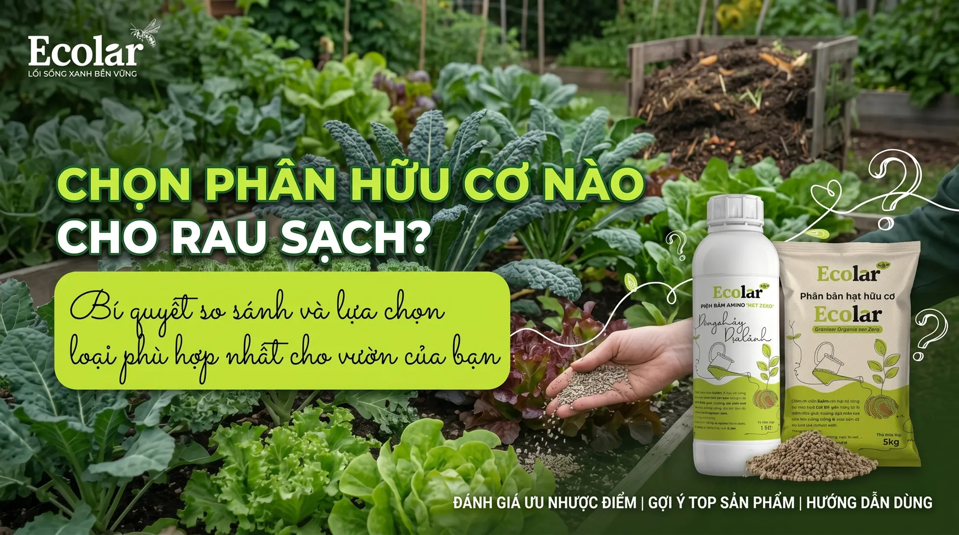 loai-phan-huu-co-nao-tot-cho-rau-sach-so-sanh-nhanh-de-chon-dung_5fa04bda85ac459399fa65a1228a...webp