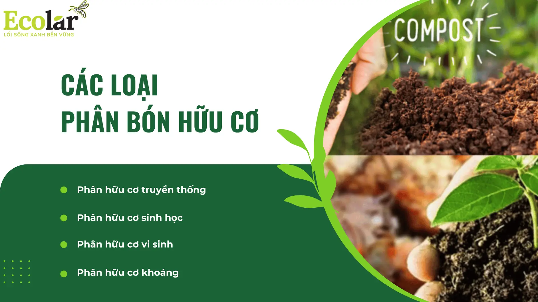 loai_0b0e78e0912e4323baa21105c21f71f1 (1).webp