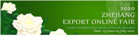 Logo online fair.webp