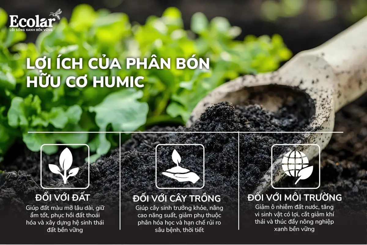 lợi ích humic.webp