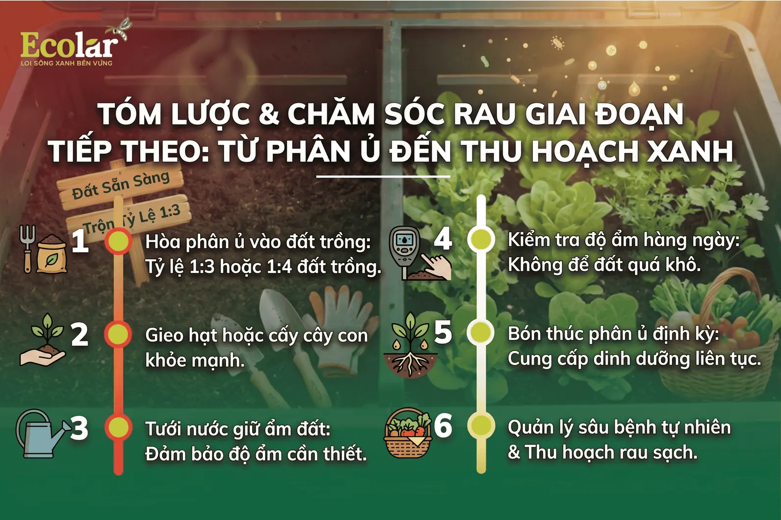 luoc-cham-soc-rau-giai-doan-tiep-theo_d38d008a2cc74da0b23ba1556c1eb22e.webp