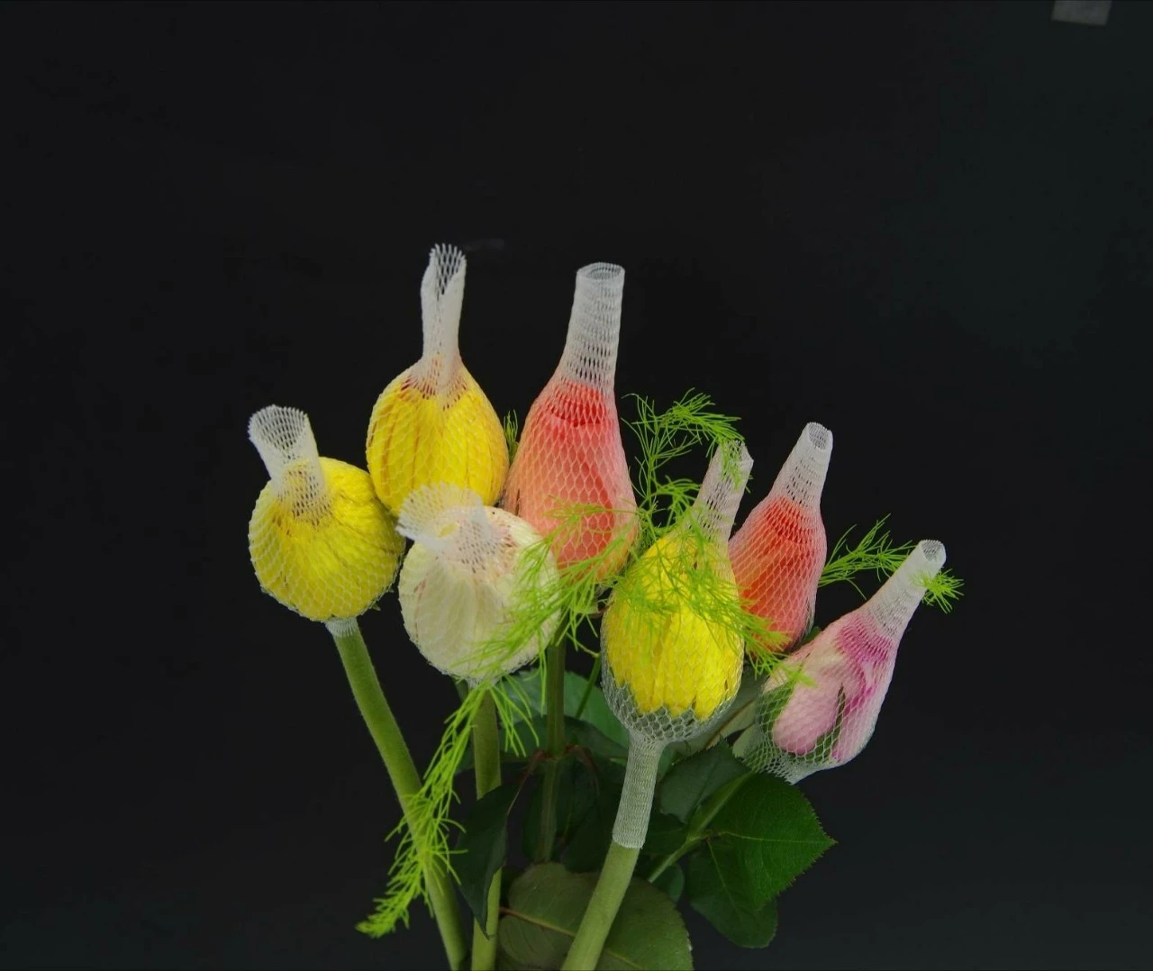 LUOI BAO HOA (2).webp