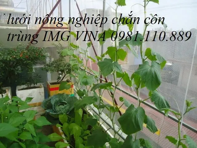 Lưới chắn côn trùng (1).webp