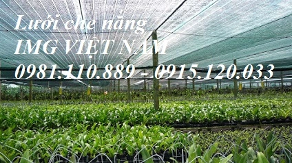 Lưới che nắng IMG VIỆT NAM (1).webp