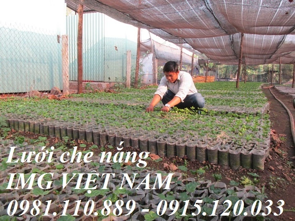 Lưới che nắng IMG VIỆT NAM (14).webp