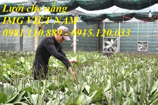 Lưới che nắng IMG VIỆT NAM (18).webp