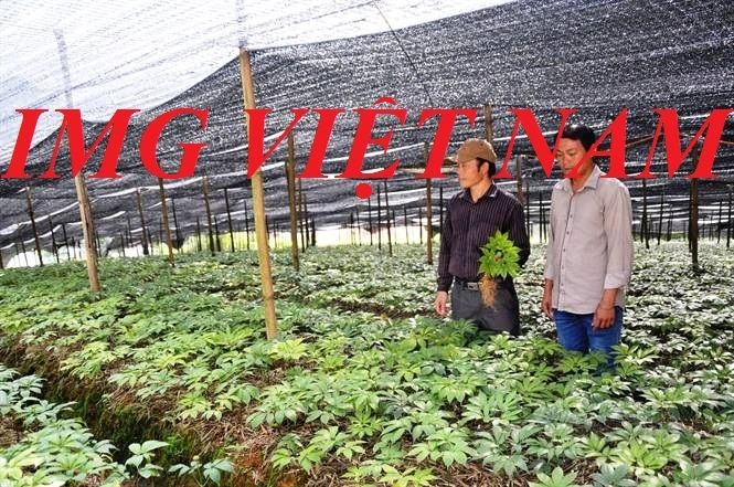 Lưới che nắng IMG VIỆT NAM (3).webp