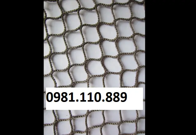 Lưới nhật cũ  (2).webp