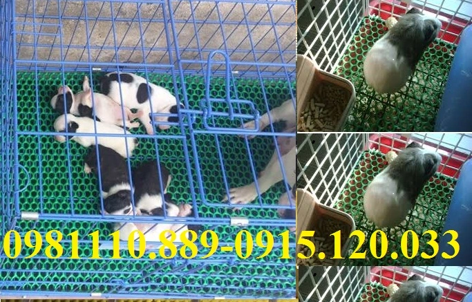 Lưới nhựa  (113).webp