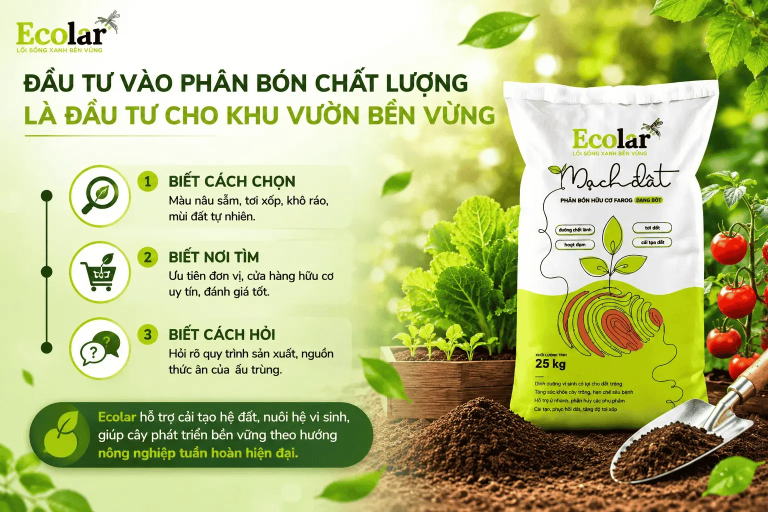 luong-la-dau-tu-cho-khu-vuon-ben-vung_cd8fab33a36c4b53a816a9666945ebfb (1).webp