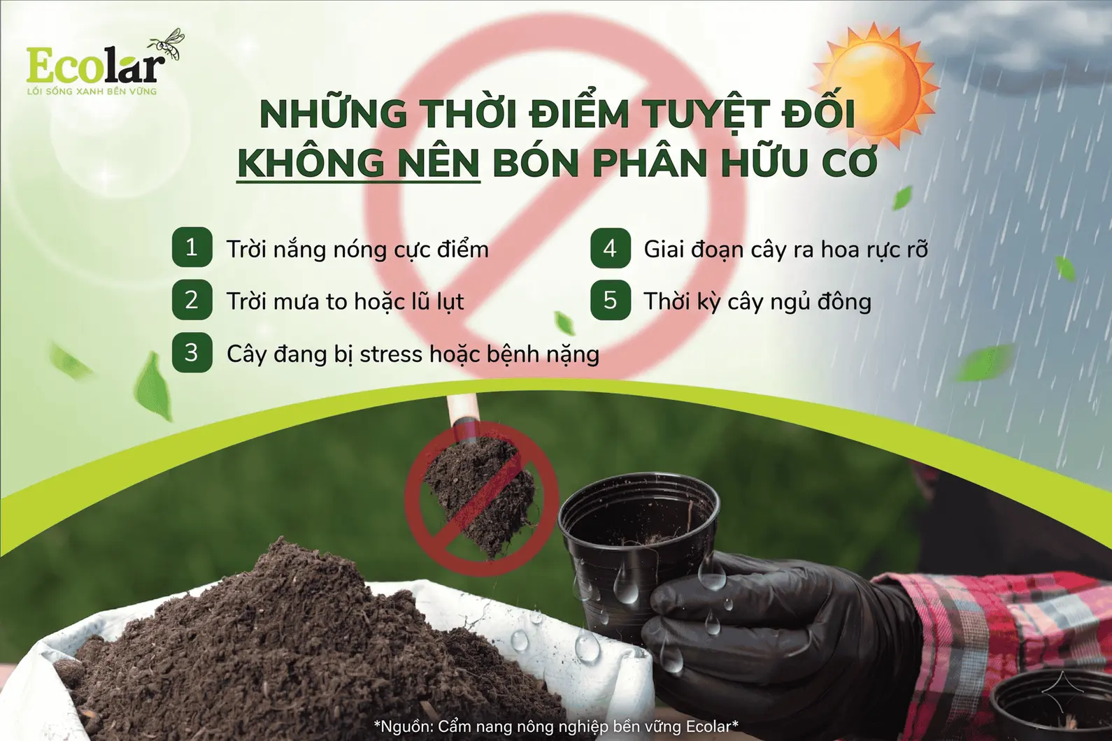 m-tuyet-doi-khong-nen-bon-phan-huu-co_d4987f5d00544a6bac3d483c6a07980a (1).webp