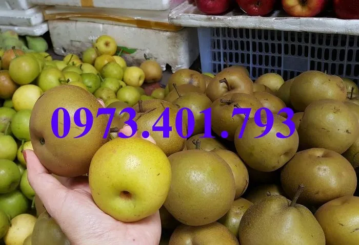 mac cop3_result.webp