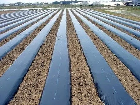 mang phu nong nghiep 3.jpg