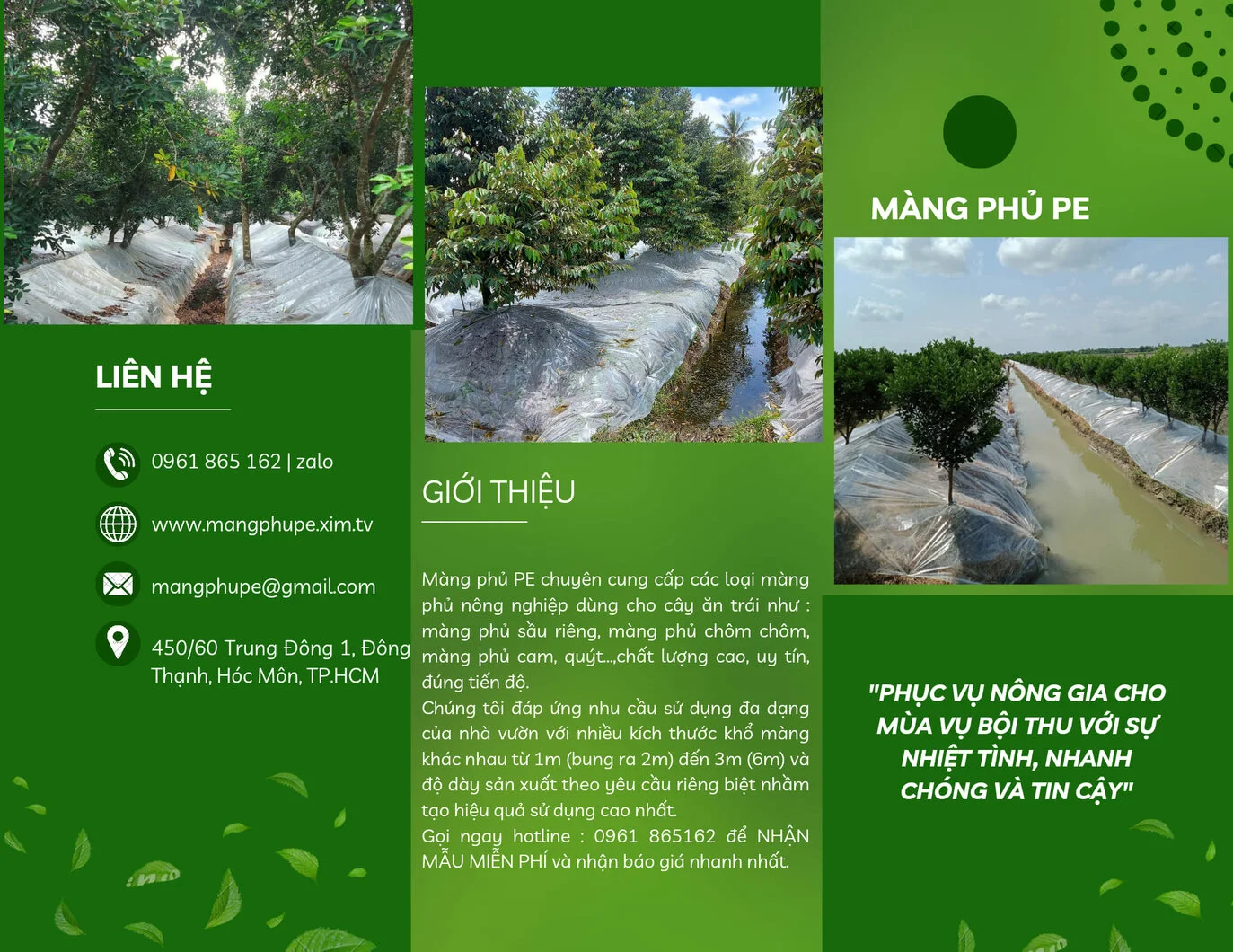 Hướng dẫn đậy bạt sầu riêng cho ra trái nghịch vụ hiệu quả