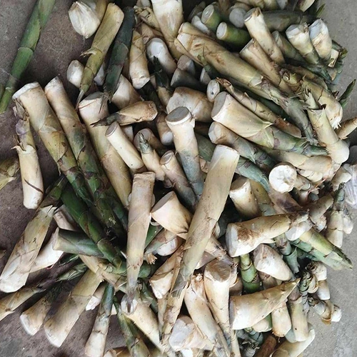 mang tre ngot thai lan 1_Fotor.jpg