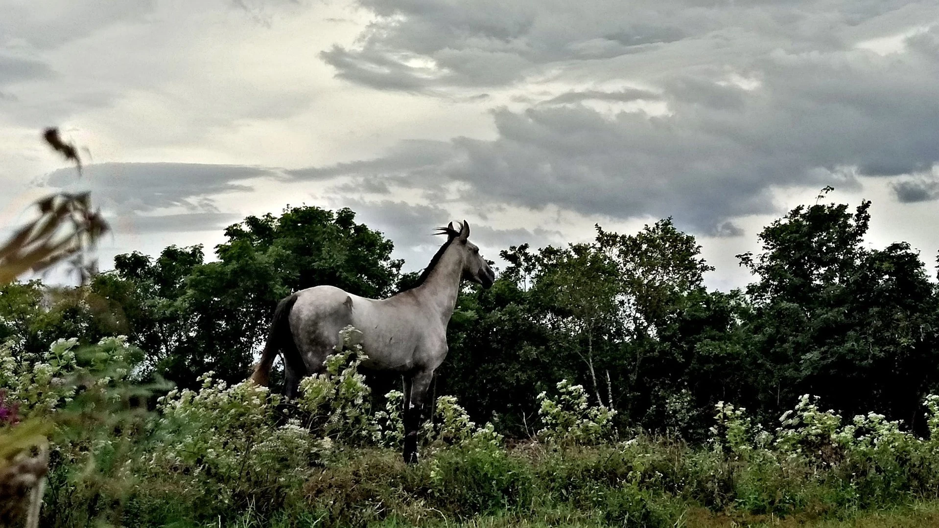 Maska n Ten Ten (1).webp