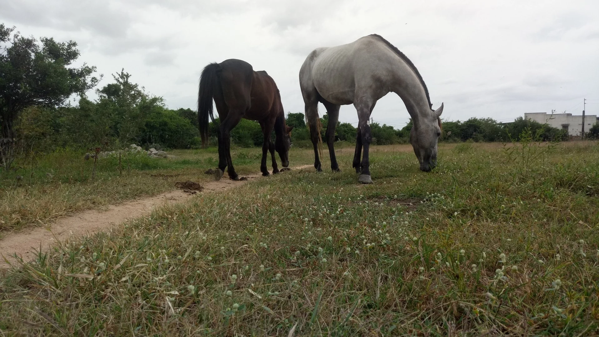 Maska n Ten Ten (2).webp