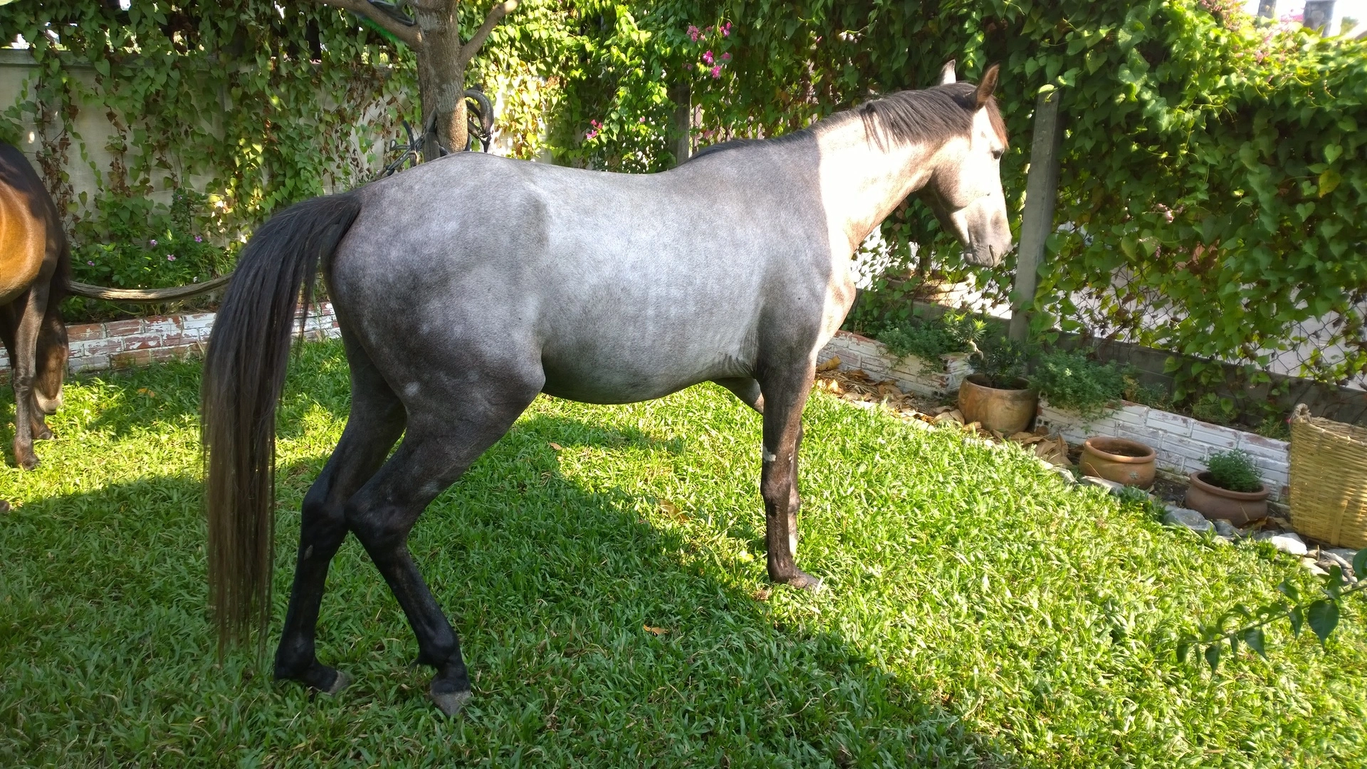 Maska n Ten Ten (3).webp