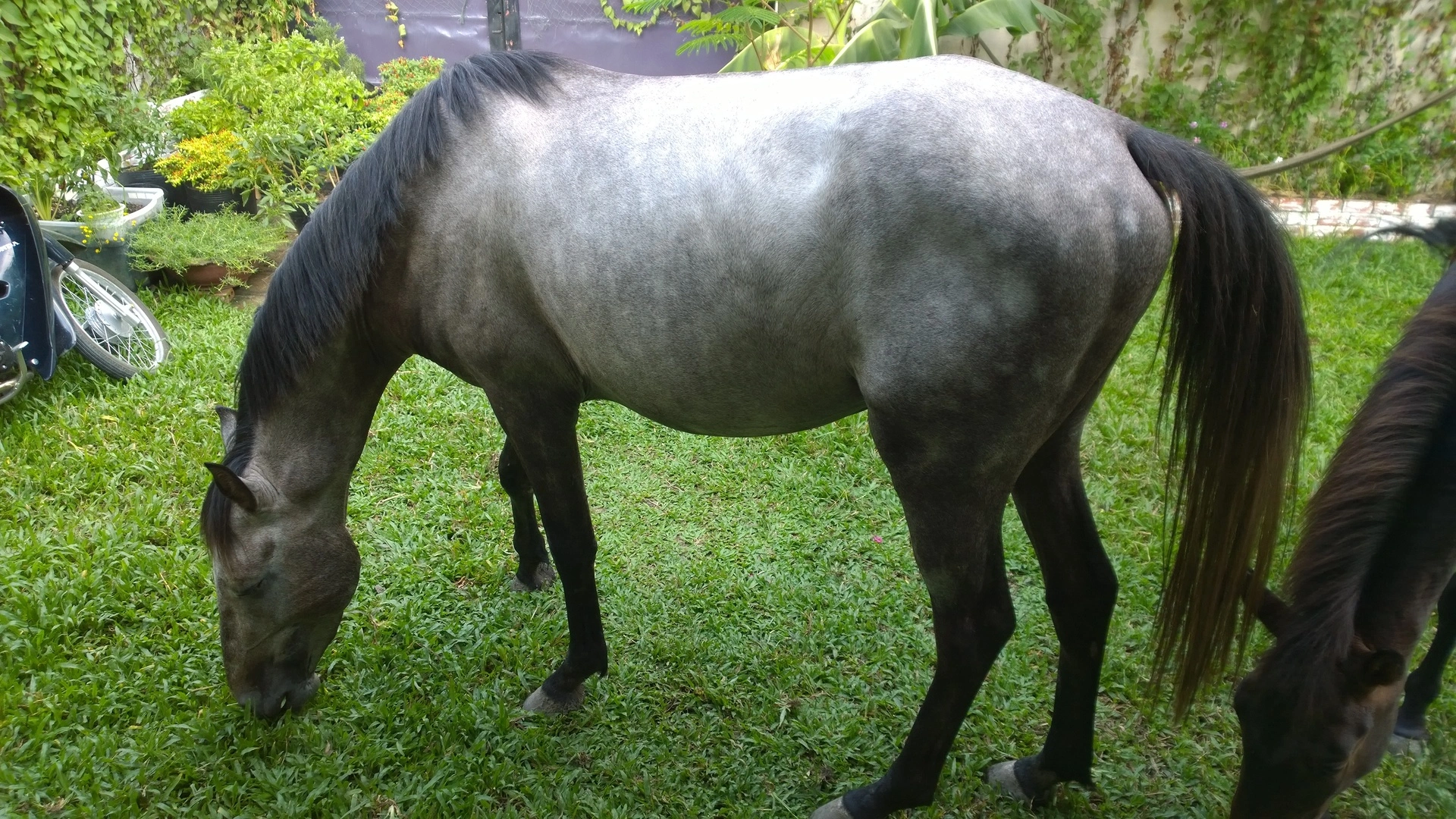 Maska n Ten Ten (4).webp