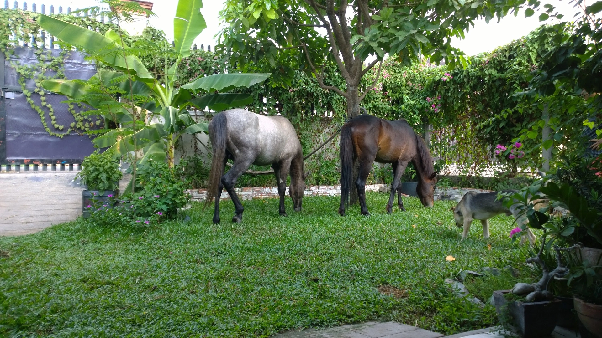 Maska n Ten Ten (5).webp