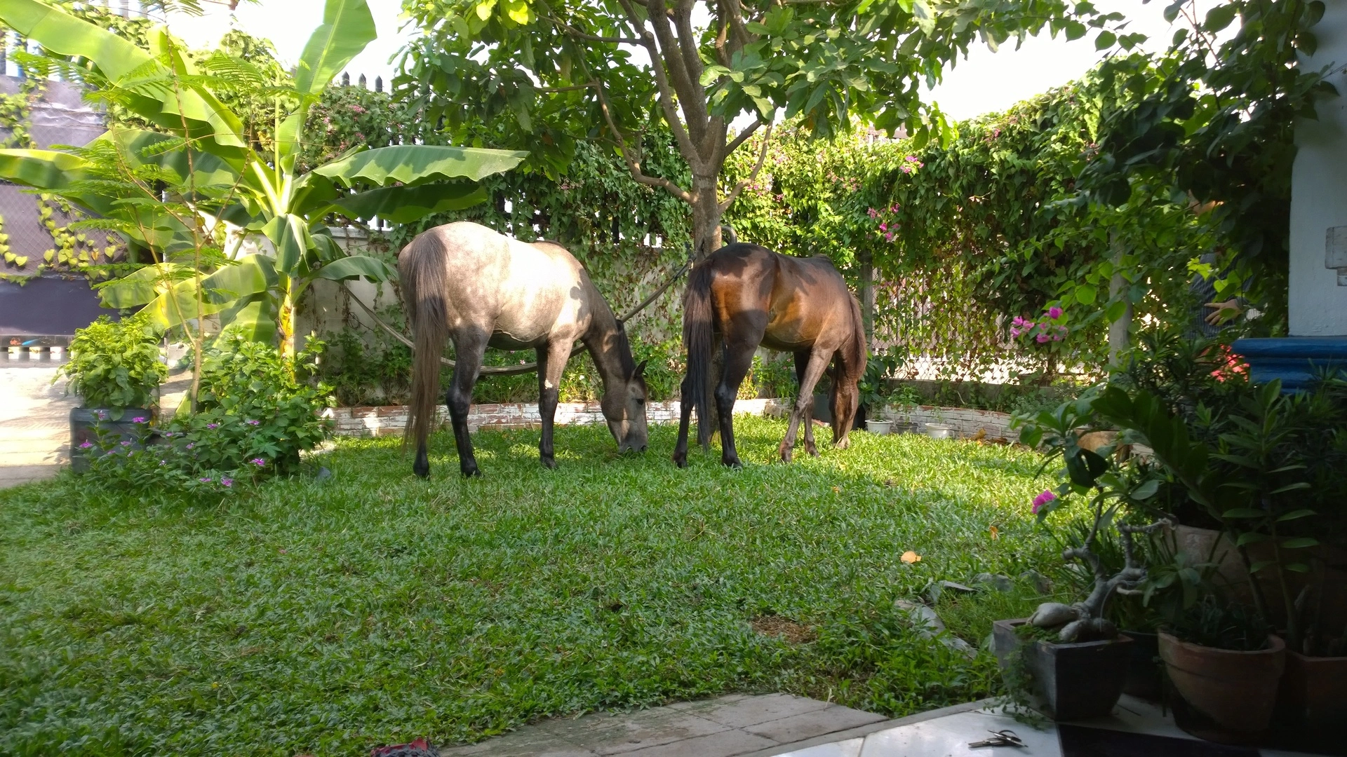 Maska n Ten Ten (6).webp