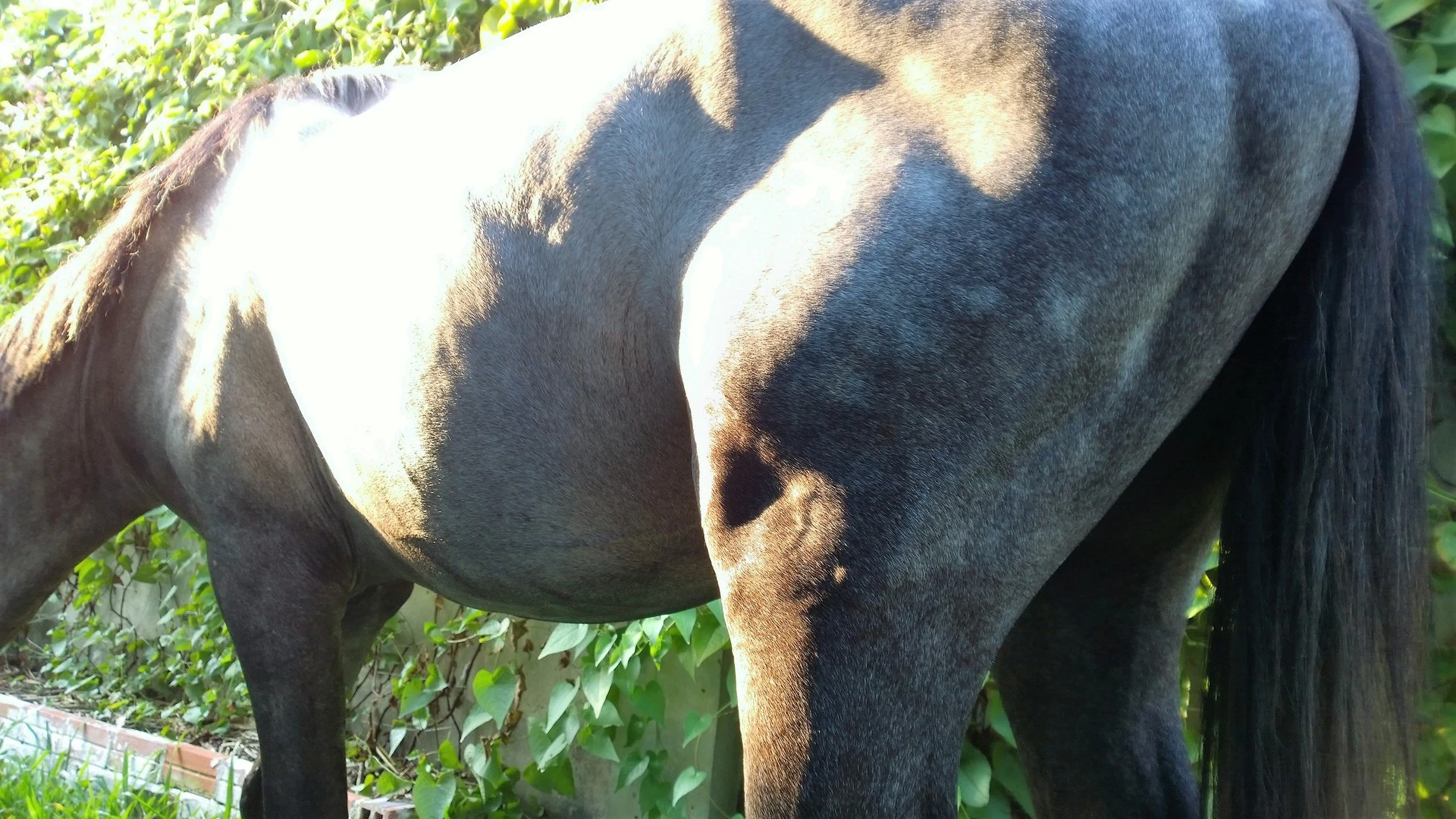 Maska n Ten Ten (7).webp