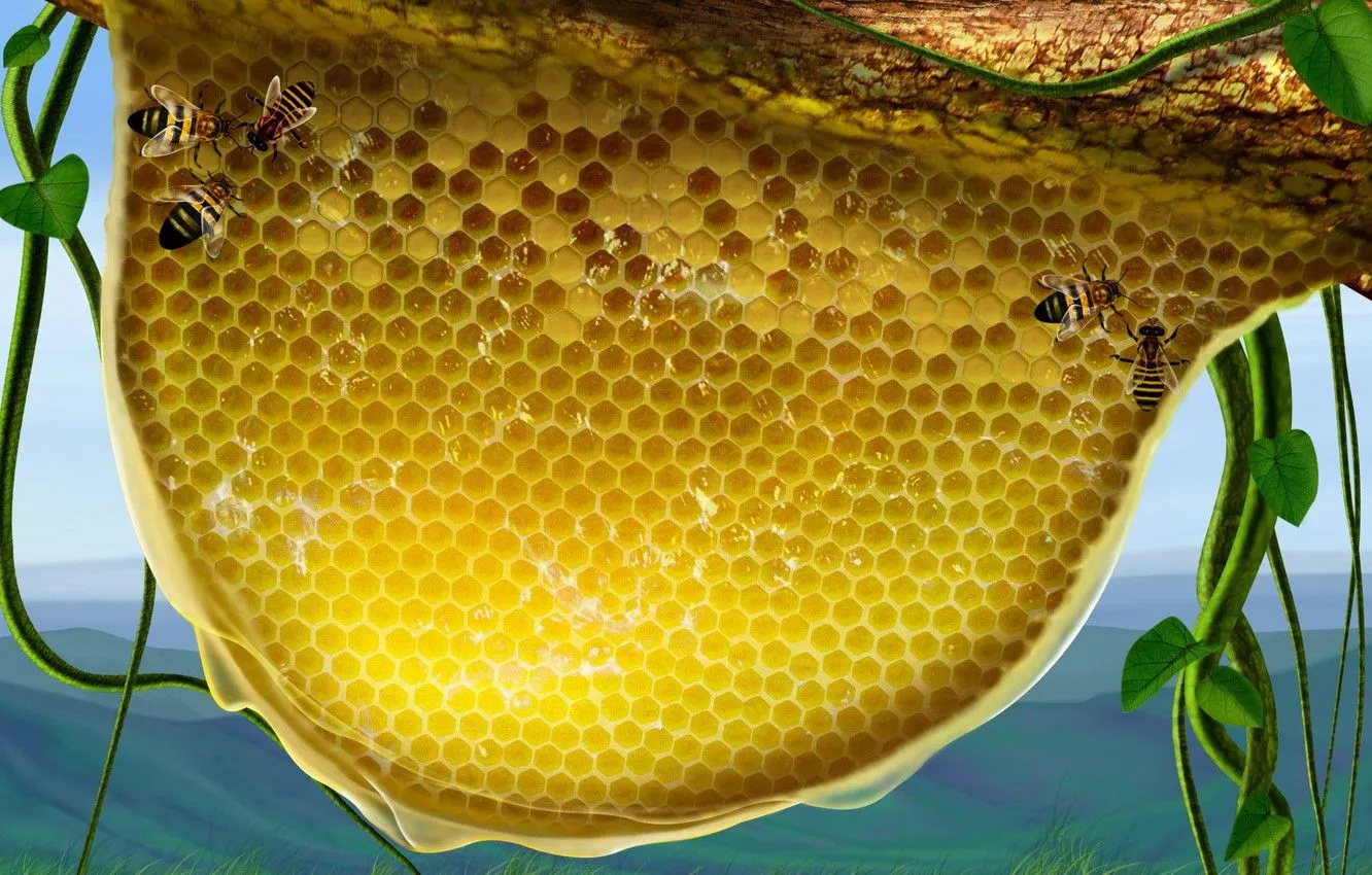 Mật ong 2.webp