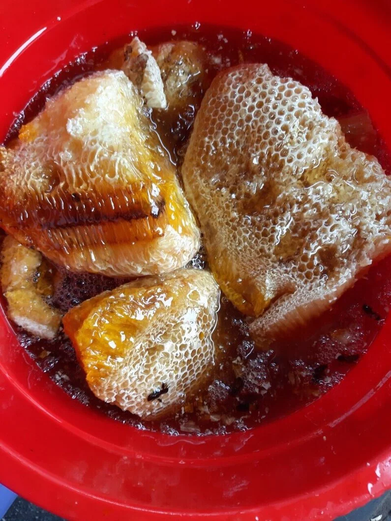 Mat-ong-chuan-rung-tay-nguyen