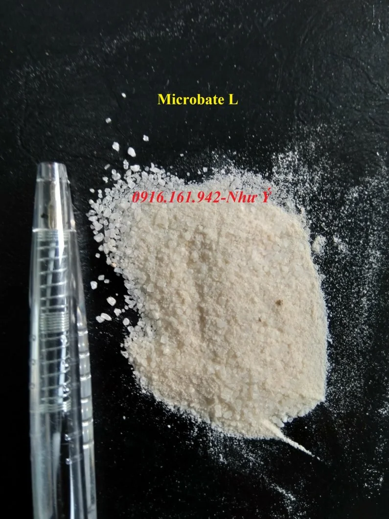 mẫu Microbate L 10.2018.webp