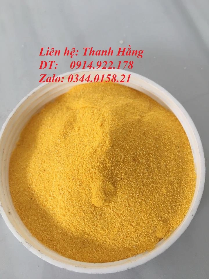 ^^^^^^^^mẫu vitakingdom (2).webp