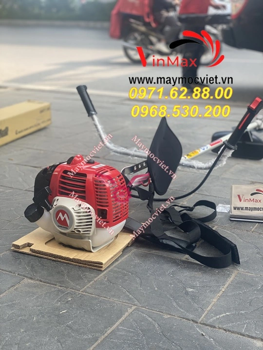 may-cat-co-maruyama-BCF420 (3).webp