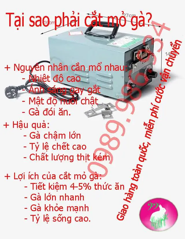 may cat mo ga 9dq 4 ,  , copy.webp