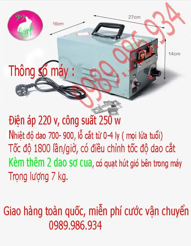 may cat mo ga 9dq 4 copy.webp