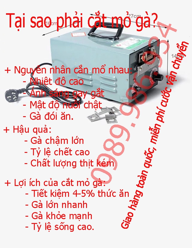 may cat mo ga 9dq 4 ,  ,.webp