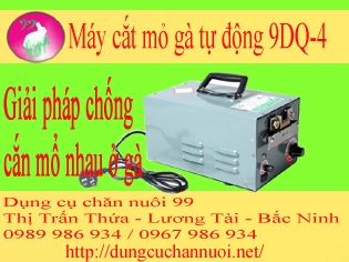 May cat mo ga tu dong 9dq4.webp