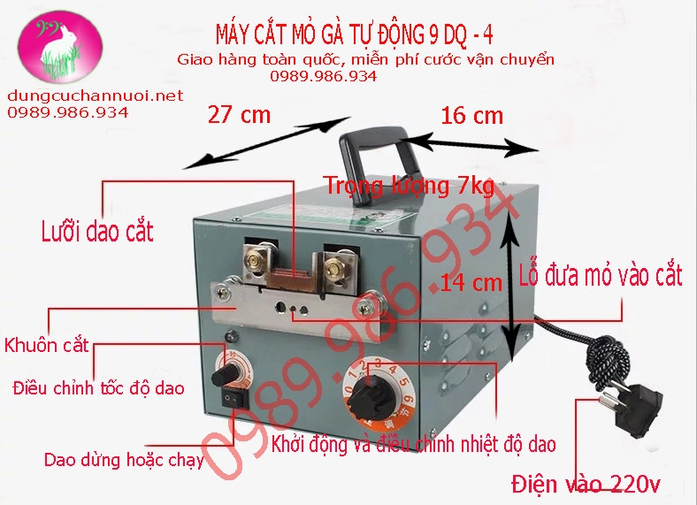 may cat mo ga tu dong.webp