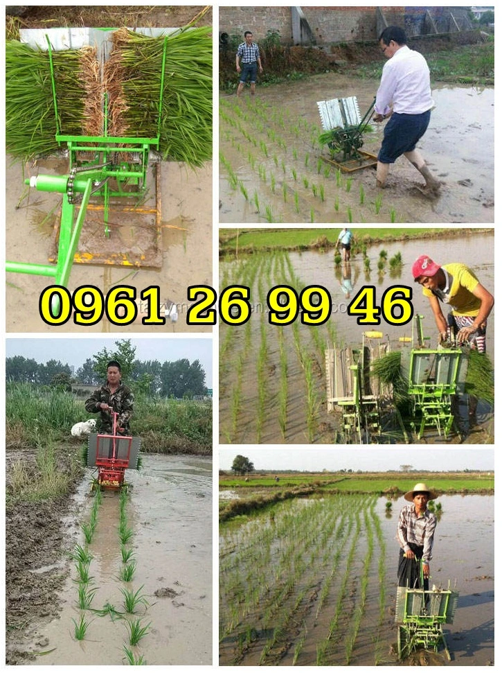 May-cay-lua-ma-nho-2-hang-khong-dong-co (24).webp