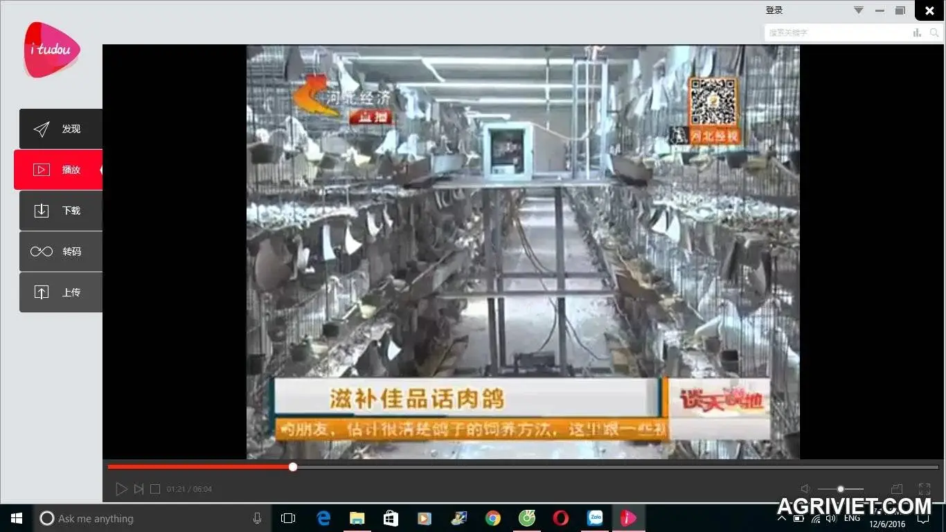 may cho an tu dong.webp