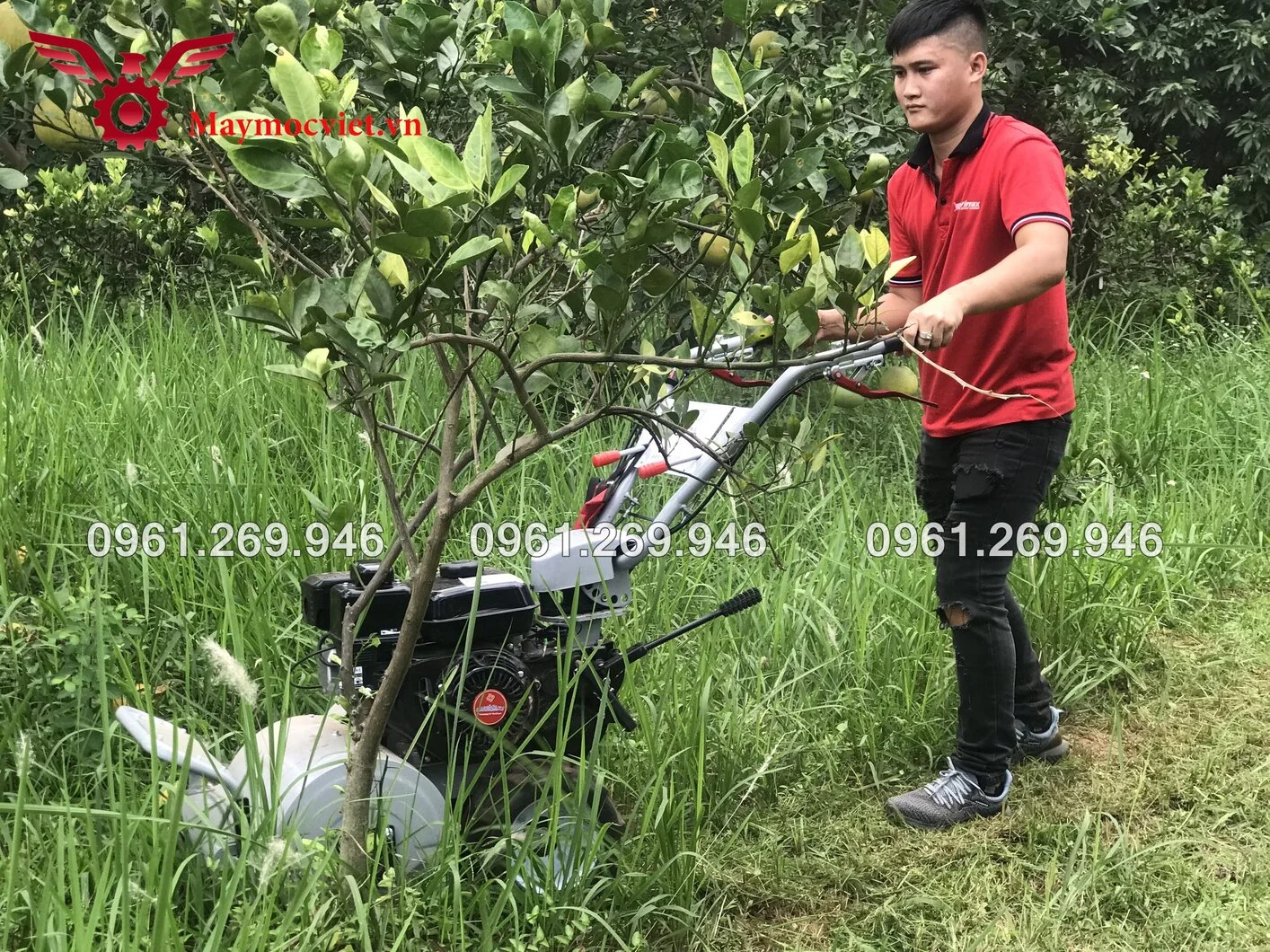 May-don-co-vuon-truc-bam-KAWASAKI-TK65 (47).webp