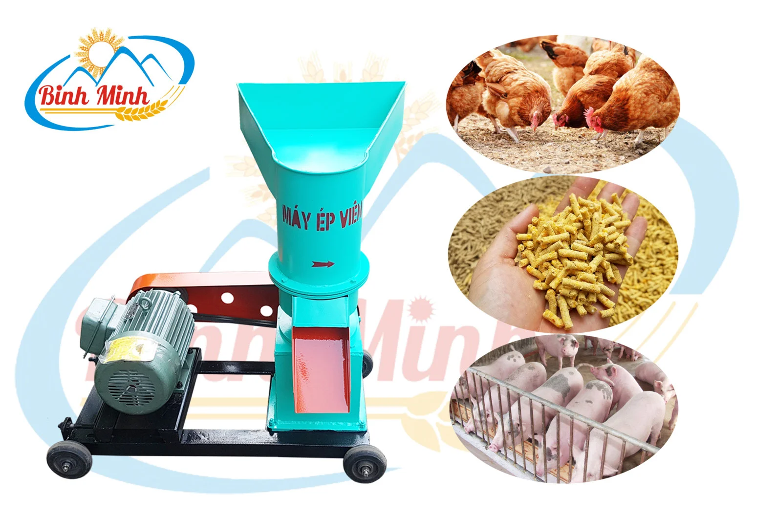 Máy ép cám viên – Giải pháp cho ngành chăn nuôi.webp