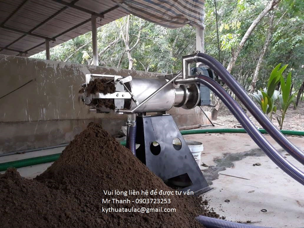 may ep phan heo mini.webp