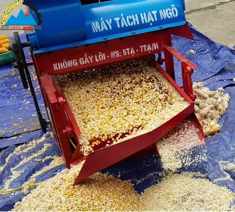 may tach hat ngo 1.webp