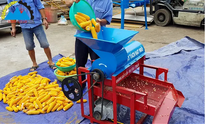 may tach hat ngo.webp