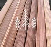 Meranti đỏ đậm- Bitrade.webp