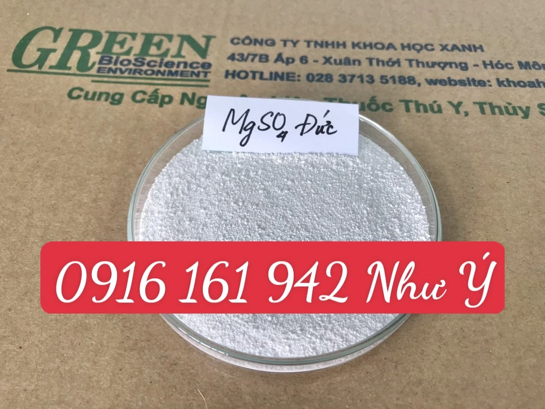 MgSO4 ĐỨC 1.webp